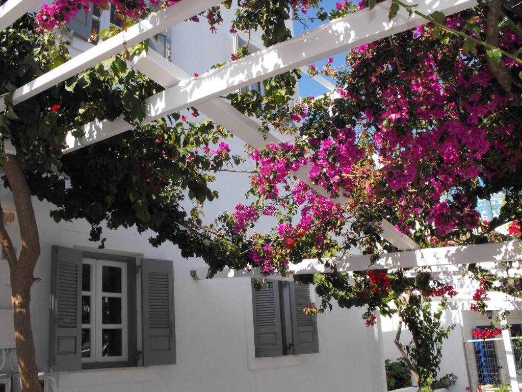 Milos Bay Suites Adamantas  Exterior foto